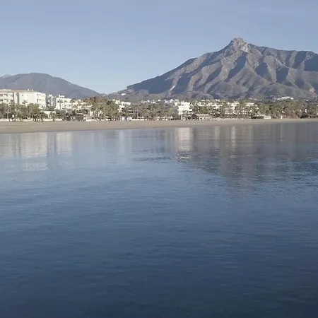 Renovated In 2024 - With Pool And Parking *